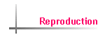 Reproduction